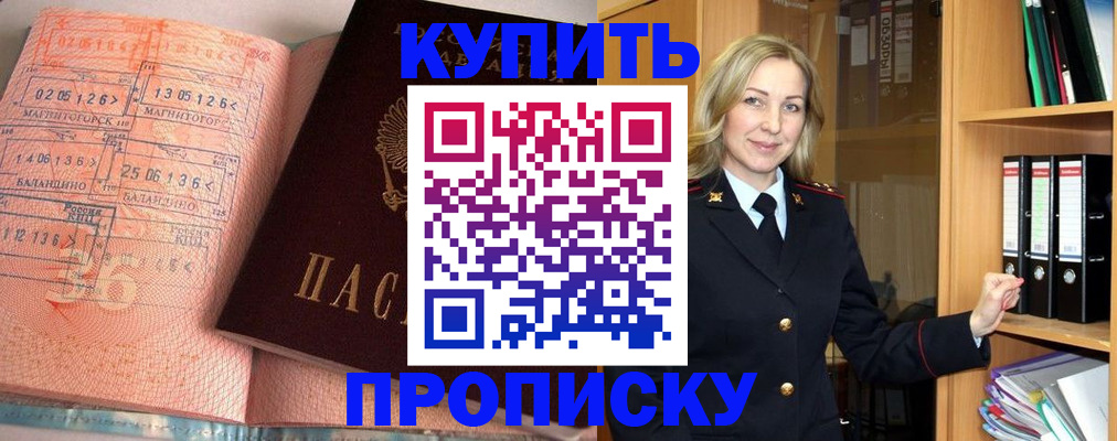 прописка в Александровске